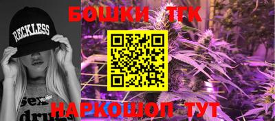 индика Гагарин