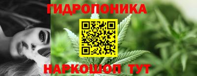 индика Гагарин