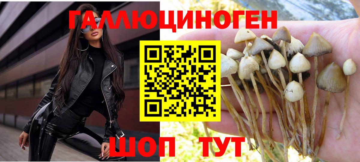 Галлюциногенные грибы ЛСД  Вход с VPN  Горячий Ключ 