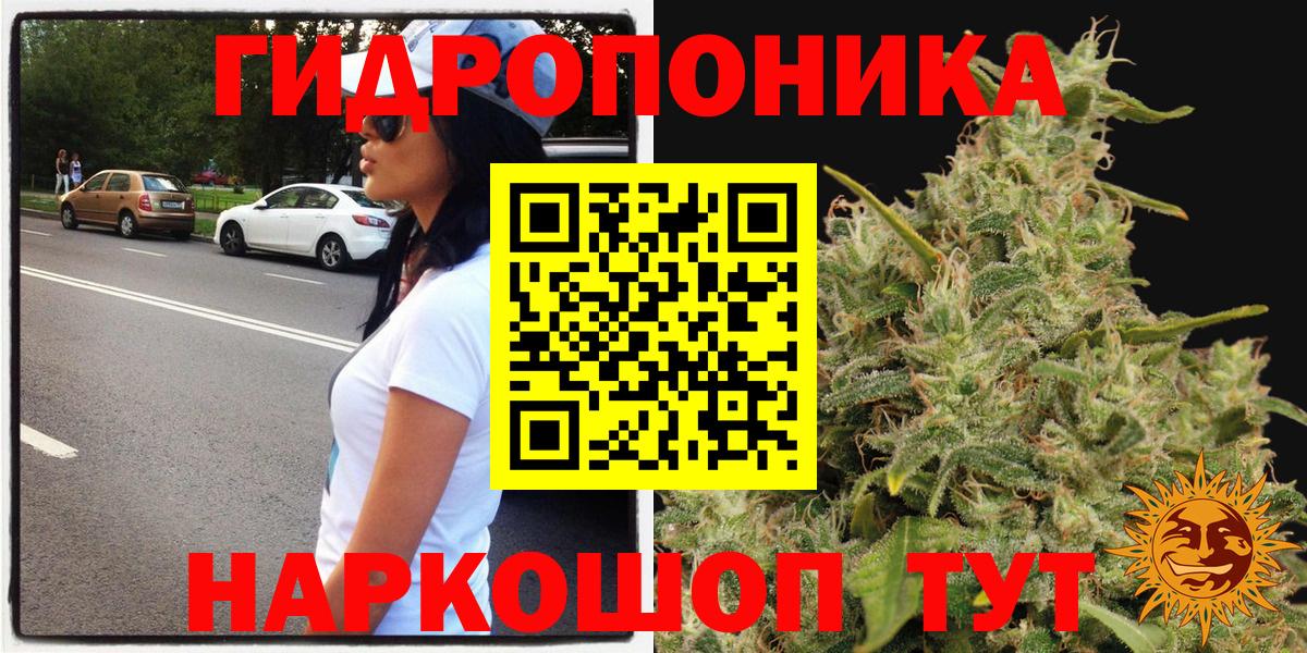 Марихуана OG Kush  Бошки Шишки White Widow  Вход с VPN  Марихуана White Widow  Горячий Ключ 